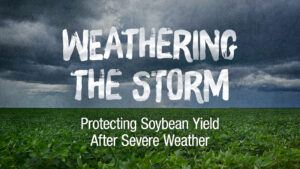 Storm clouds rolling in over a soybean field. Text reads: 