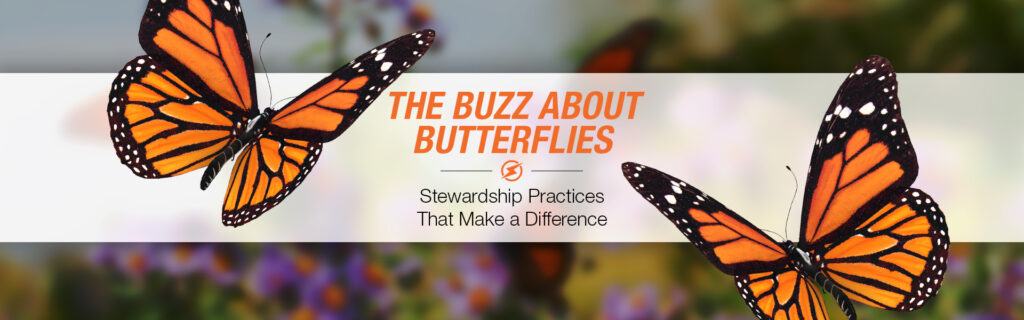 Monarchs with text that reads