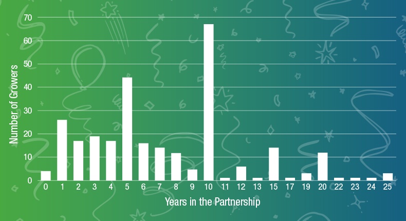 Infographic Image