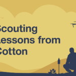 An illustration of two cotton growers scouting their fields with text that says 