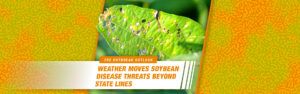 A close up photo shows frogeye leaf spot damage to a soybean leaf. Text reads: The outbreak outlook. Weather Moves Soybean Disease Threats Beyond State Lines.