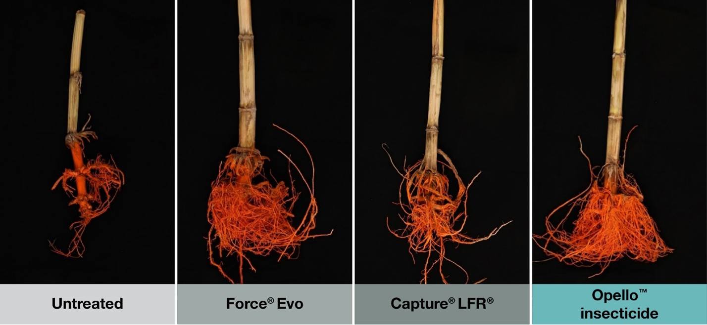 A comparison photo shows enhanced control of corn rootworm with Opello compared to an untreated check and alternative products.