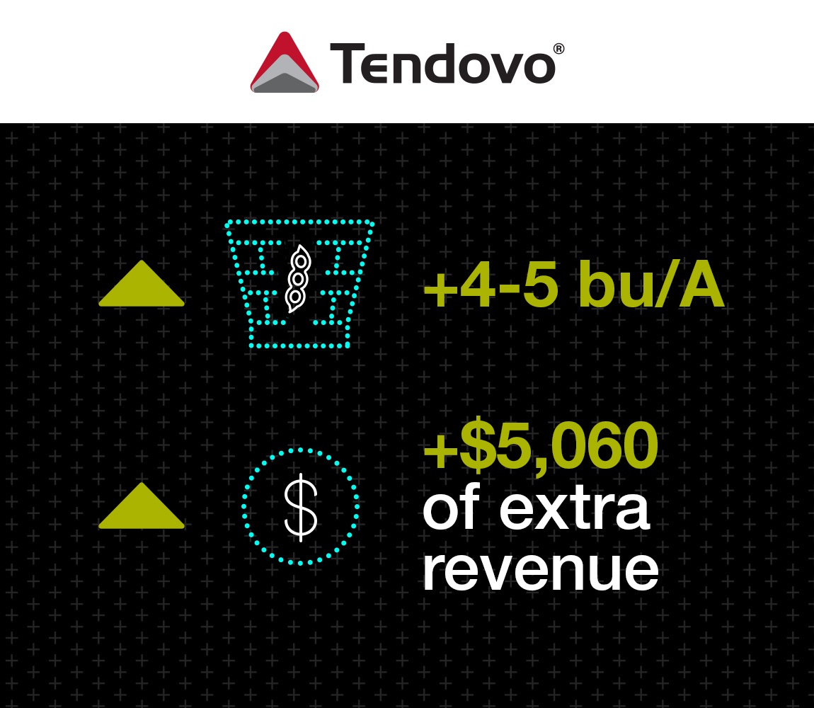 Infographic Image