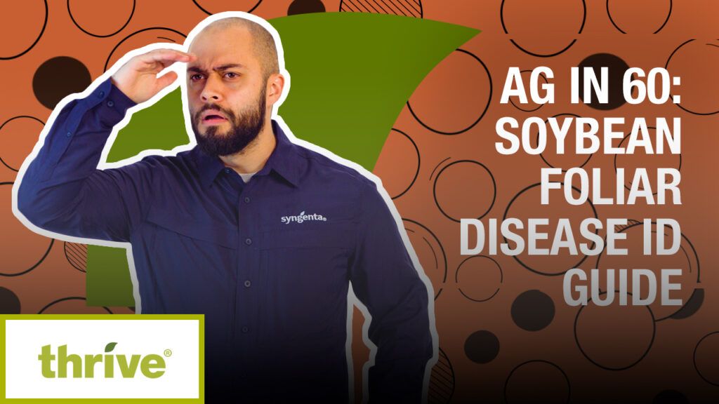 A man in a Syngenta agronomy shirt poses as if he's scouting fields with text that reads 