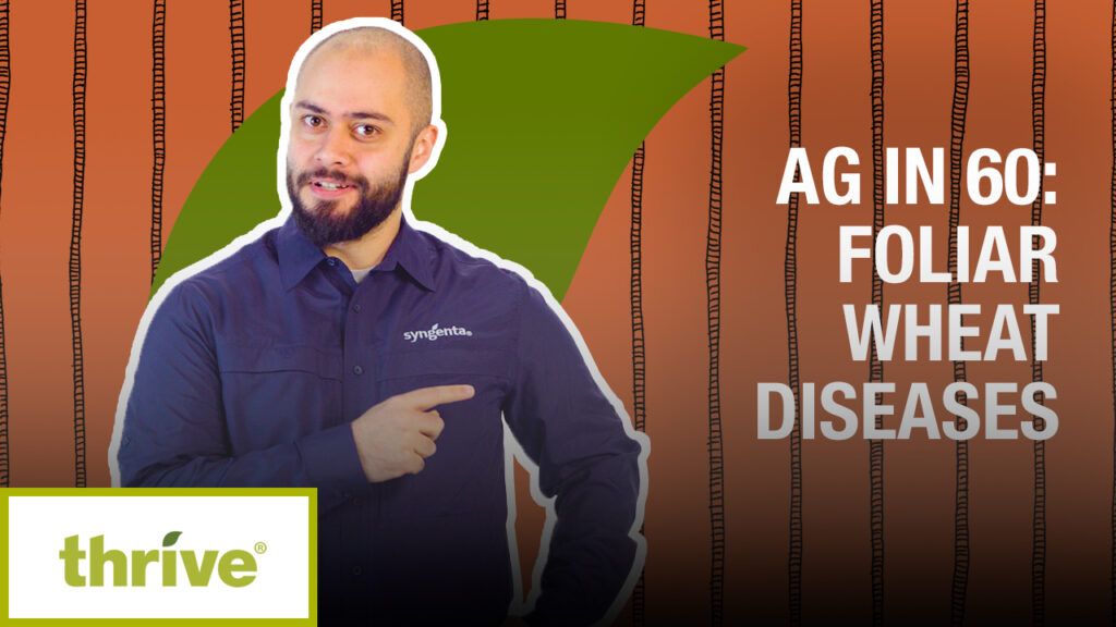 A man in a Syngenta shirt with text that reads 