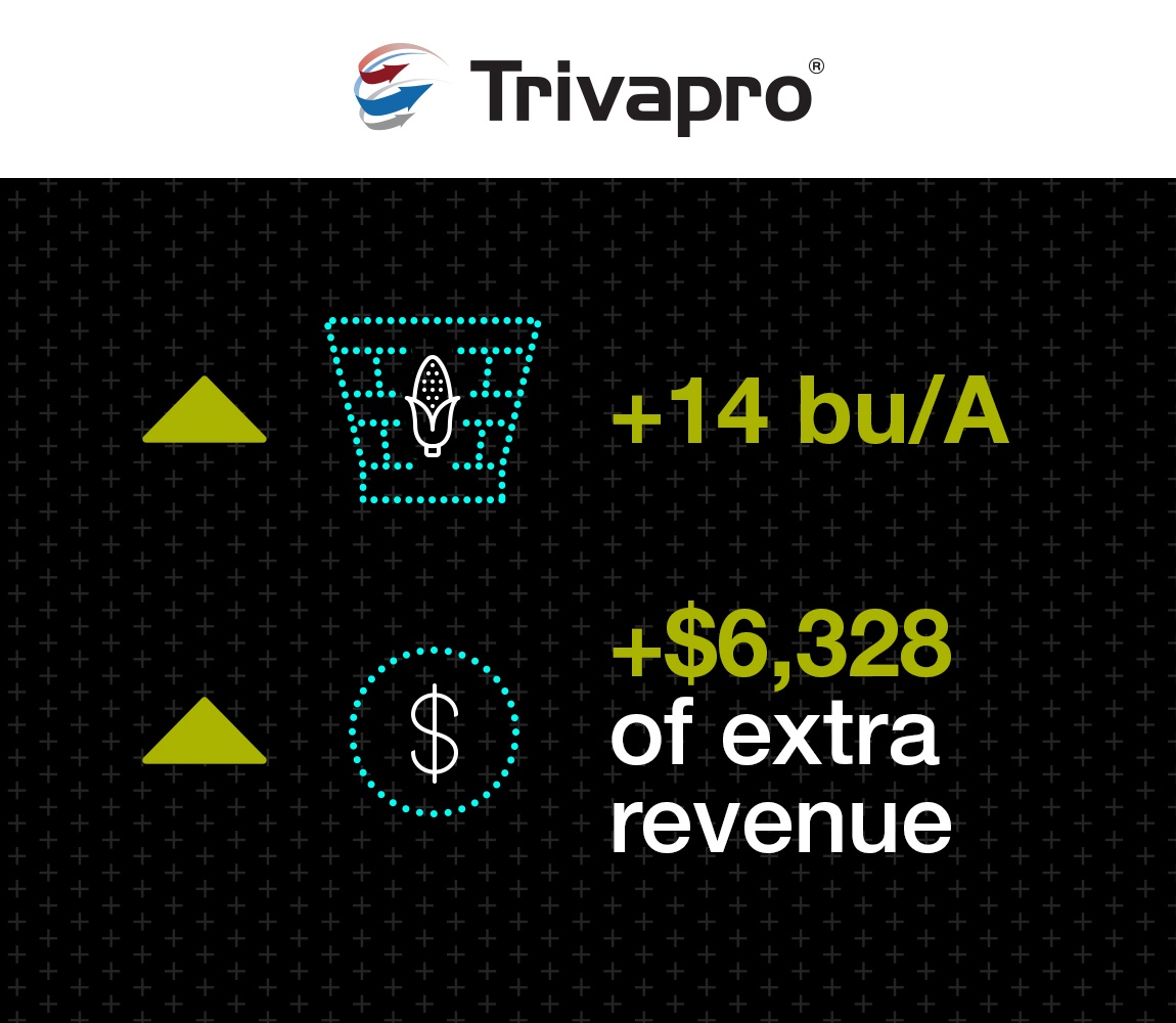 Infographic Image