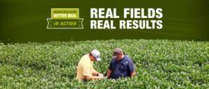 A Better Yield is the Better Deal In Action participant inspecting his trial field with his Syngenta representative