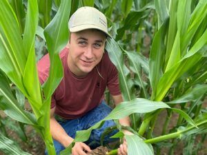 Alex Rusch kneels between rows of corn and inspects a stalk