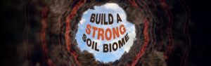An illustration of healthy soil with a strong soil biome