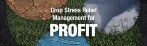 A photo of a cornfield and causes of crop stress including cracked earth from drought, pathogens, and extreme weather.