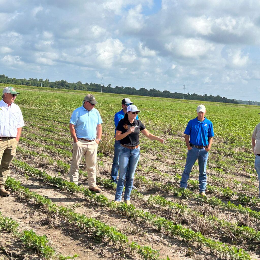 A group in a field at a Trust in Food Field Day. 