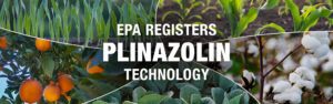 Healthy crops protected by PLINAZOLIN technology