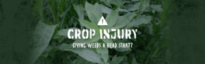 A crop injury graphic of text that reads