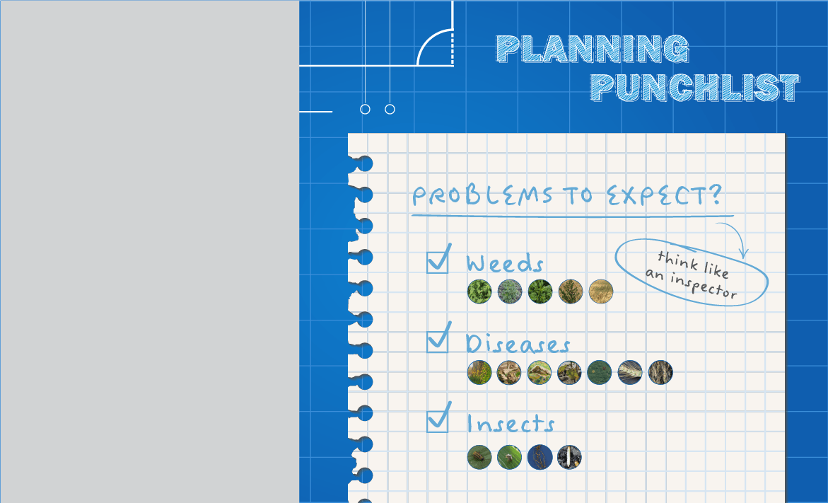 Infographic Image