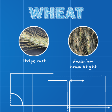 Infographic Image