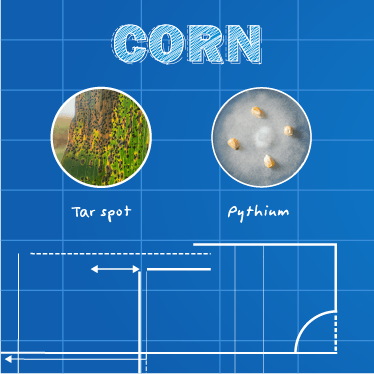 Infographic Image