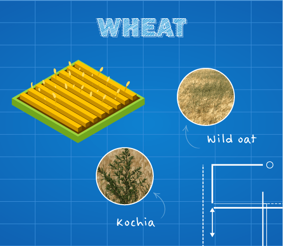 Infographic Image