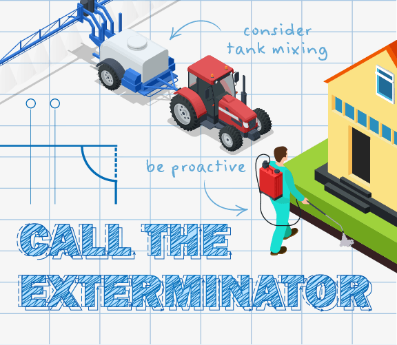 Infographic Image
