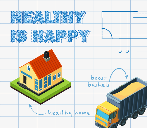 Infographic Image