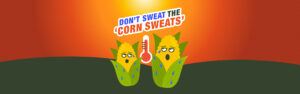 An illustration of corn holding a thermometer and 