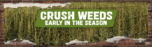 A healthy cornfield with text that reads 'CRUSH WEEDS EARLY IN THE SEASON