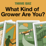 An illustration depicting four grower personas from the personality quiz on cards.