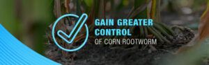 Opello insecticide and healthy corn roots