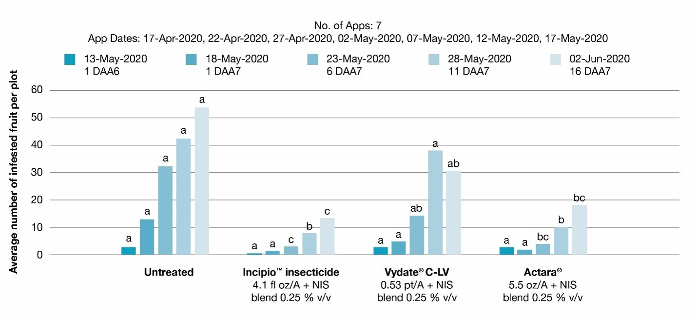 A bar chart shows reduced pepper weevil damage in pepper crops with Incipio insecticide compared to an untreated check and alternative products.