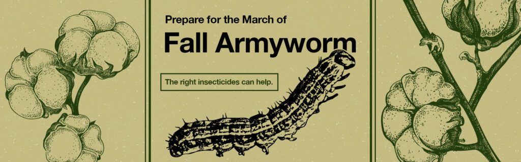 A detailed illustration of fall armyworm against a background of cotton.