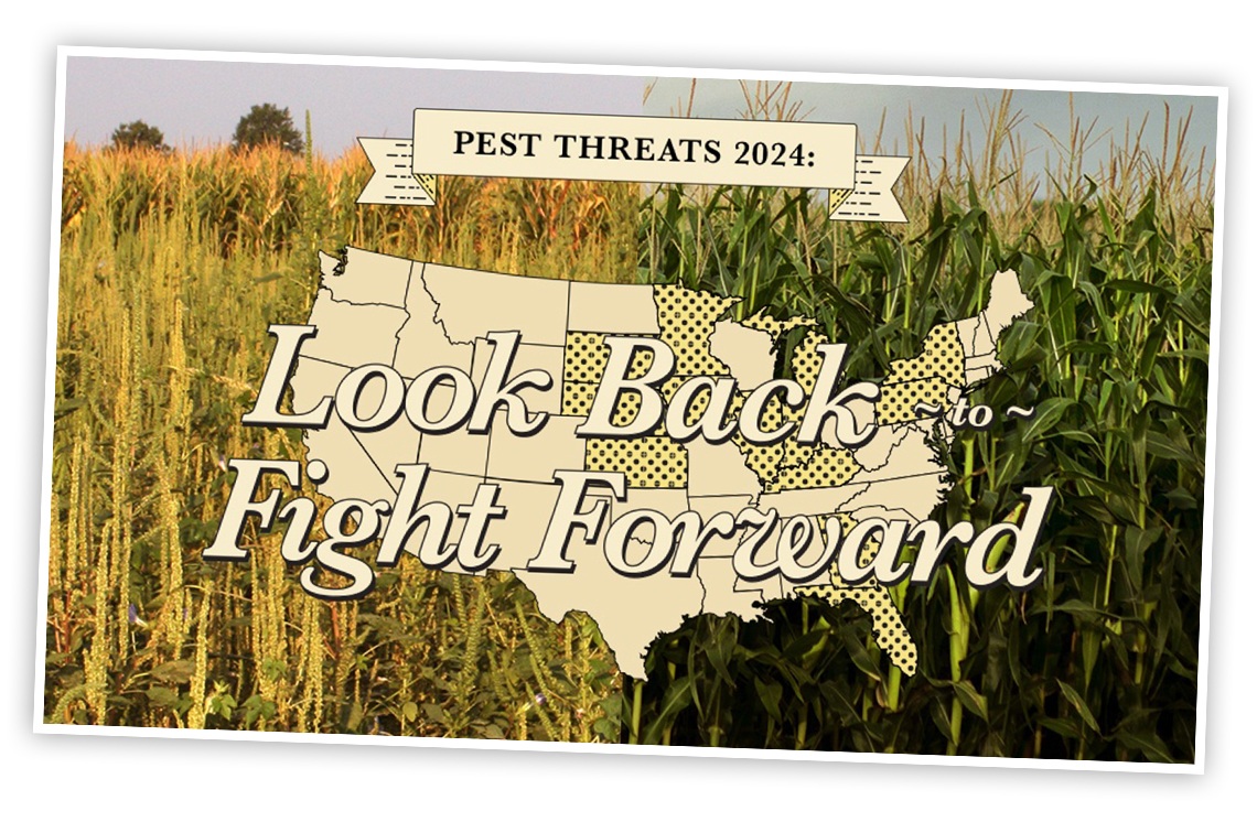 An illustration of a map of the United States highlighting regions with pest threats discussed in the article. There is a comparison photo in the background showing stressed corn plants compared to healthy plants. 