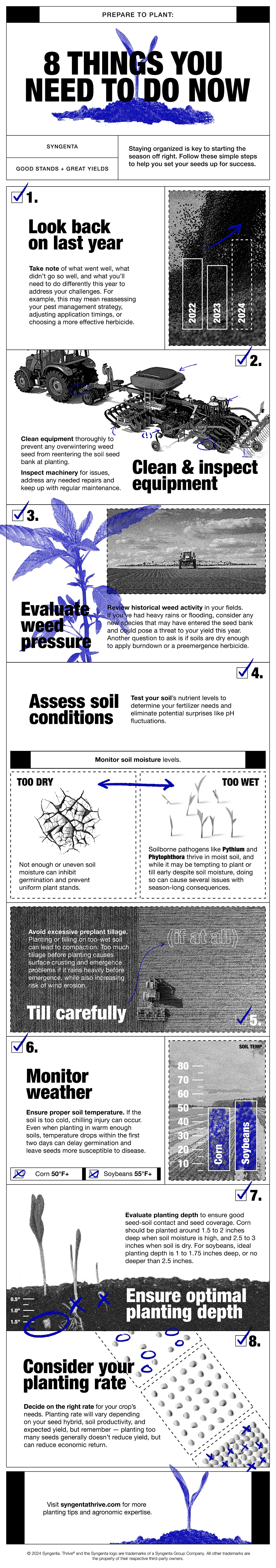 An infographic with illustrations of corn seedlings, common weeds, and informative image examples with tips for planting tips to prepare to plant throughout. 